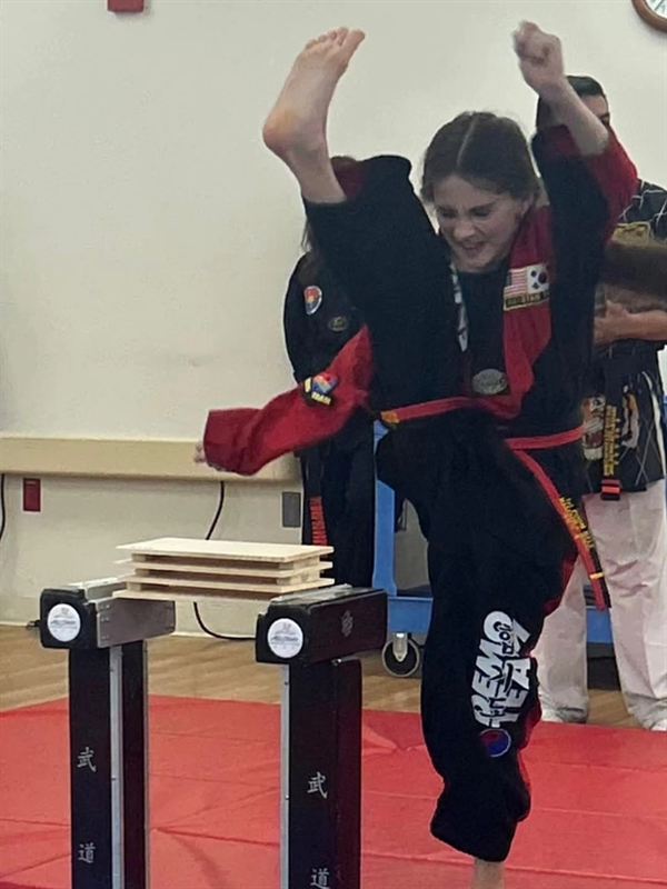 Elegant forms mastery stance during traditional Poomsae practice